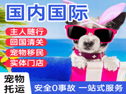 贵阳龙洞堡航空邮寄国际宠物托运 【国